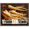 Ginseng Extract Ingredient Herbal Health