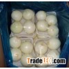 Supply buy china export Fresh Yellow Onion