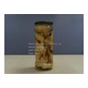 canned oyster mushroom