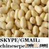 blanched peanut kernel