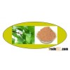 Ginkgo Biloba Extract