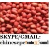 red skin peanut kernel