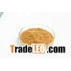 Ginkgo Biloba Extract