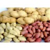 peanuts inshell, peanut kernel,blanched peanut kernel