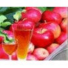 Apple Juice Concentrate\Juice