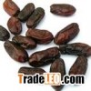 Date Juice Concentrate