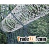 Razor Wire