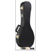 mandolin case