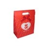 gift bag with ribbiono