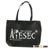Supply 2011 handle non-woven bag