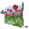 The Reliable &Stable Indoor Rental LED Display_screenopto