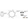 beta cyclodextrin molecular weight Beta-cyclodextrin