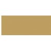 Promotion 100% Silk Scarf
