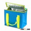 Cooler Bag with a Zipper for Closure