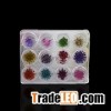 Nail supplies Tools Nail 12 Locket Suit Dried Jewelry whole