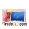 Apple MacBook Pro MA895LL