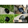 Weshare Music Device
