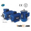Three Phase Induction Motor MS Motor