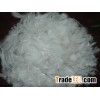 duck feather4-6cm bluk