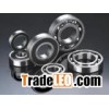 6000 Deep Groove Ball Bearing