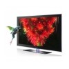 Samsung UN55B8000 55-Inch 1080p 240Hz LED HDTV