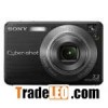 Sony Cyber-shot DSC W110 7.2MP Slim Digital Camera - Silver