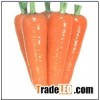fresh corrot