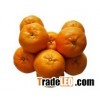 mandarin orange
