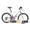 Different bike