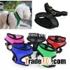 cute dog harness in different sizes