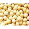 Soybean P.E.
