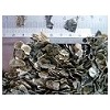 vermiculite