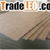 Commercial plywood  Poplar plywood