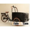 three wheel electric family cargo bike