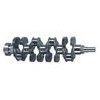 Mitsubishi 4D31T Crankshaft