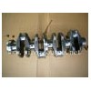 Man D0824 Crankshaft