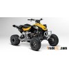 Can-Am DS
