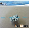 Delphi control valve