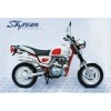 SKYTEAM EEC 50CC & 125CC APE Cobra MOTORCYCLE (EEC)