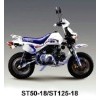 SKYTEAM 125CC 4 STROKE BAJA MOTORCYCLE