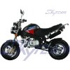 SKYTEAM 125CC 4 stroke PBR ZB50 bike (EEC EUROIII EURO3 Appr