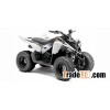 2012 Yamaha Raptor 90
