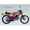 SKYTEAM 50cc&125cc 4 stroke ACE Dream Motorbike EEC EUROIII