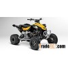 2013 Can-Am DS 450 EFI Xmx