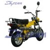SKYTEAM 50cc&125cc 4 stroke dax SKYMAX motorcycle(EEC)