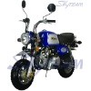 SKYTEAM 125CC 4 stroke gorilla motorcycle (EEC Euro III EURO