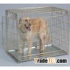 dog cage