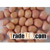 peanut kernels