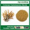 top quality Cordyceps Cephalosporium Mycelia