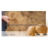 Coco Fiber